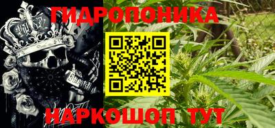 PSILOCYBIN Краснодар