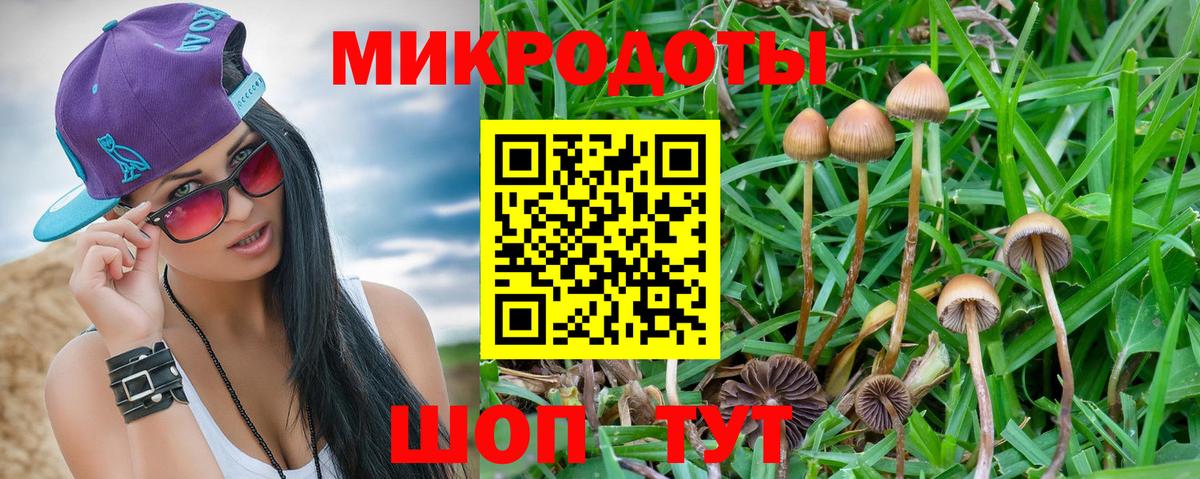 Галлюциногенные грибы Magic Shrooms  Галлюциногенные грибы Cubensis  Вход с VPN  Красногорск 